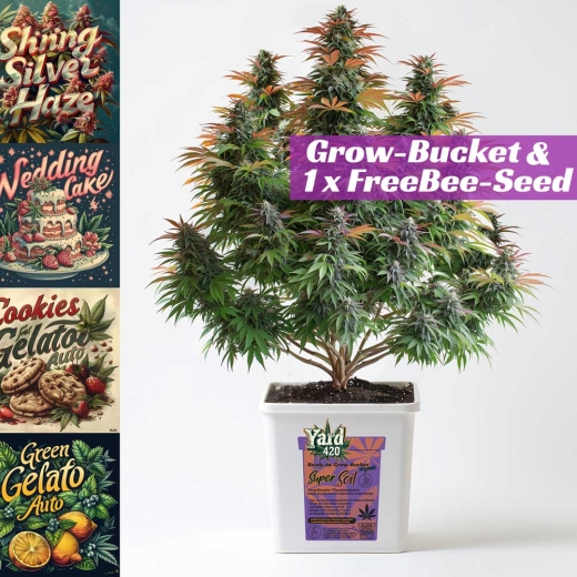 Grow Bucket Super Soil organic